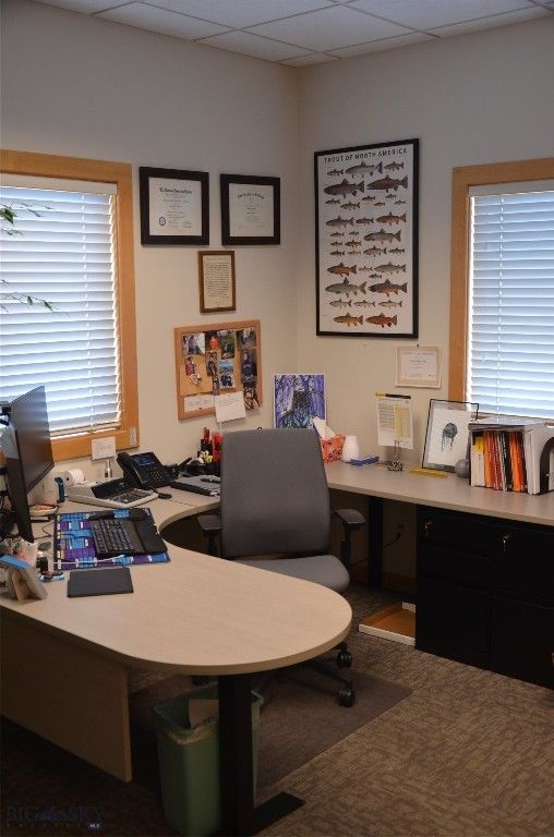 650 S Ferguson 2, Bozeman, MT 59718 photo 8