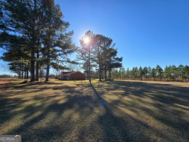 479 Mitchell Loop, Bluffton, GA 39824