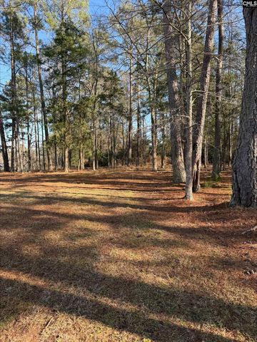 259 Gravel Road, Prosperity, SC 29127