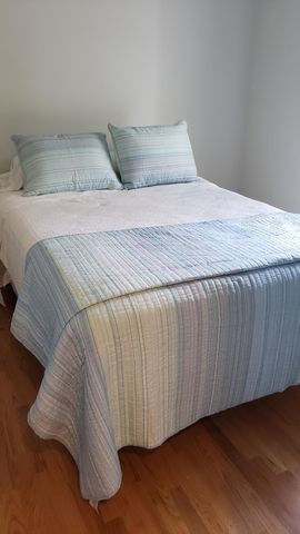 925 Jacksnipe Lane, Mount Pleasant, SC 29464