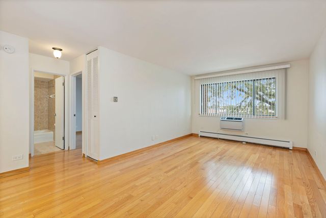 4624 N Commons Drive 303E, Chicago, IL 60656