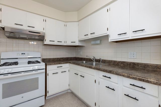 4624 N Commons Drive 303E, Chicago, IL 60656
