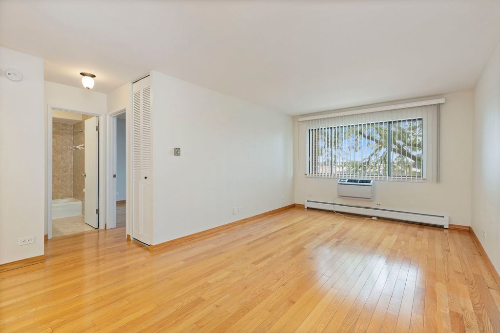 4624 N Commons Drive 303E, Chicago, IL 60656 — photo 4