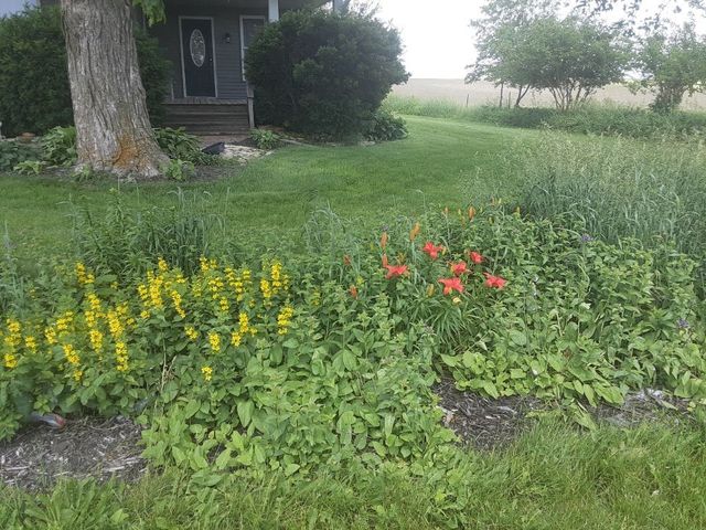 297 Goudy Road, Mt Vernon, IA 52314