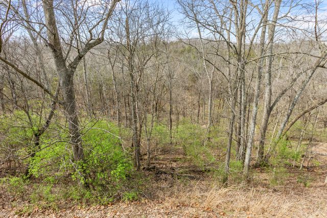 119 Blackberry Ridge Court, Georgetown, KY 40324
