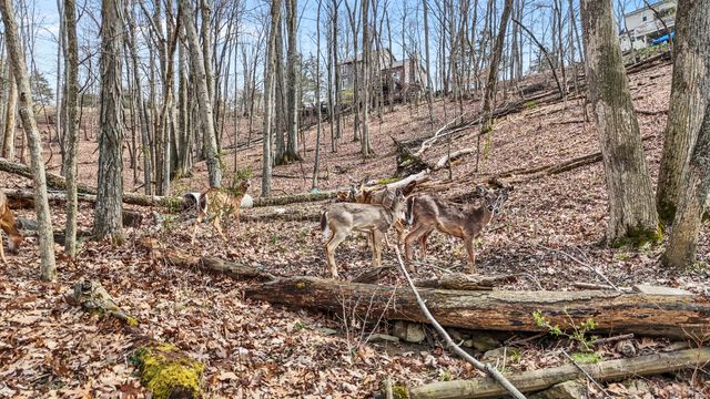 119 Blackberry Ridge Court, Georgetown, KY 40324