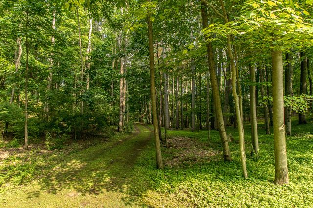 1935 Pierce Road, Chelsea, MI 48118