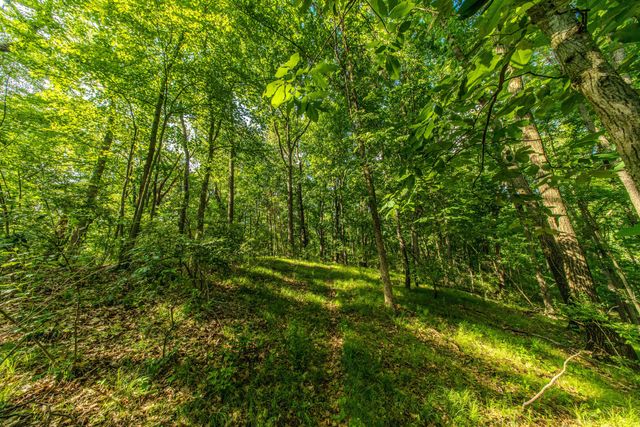 1935 Pierce Road, Chelsea, MI 48118