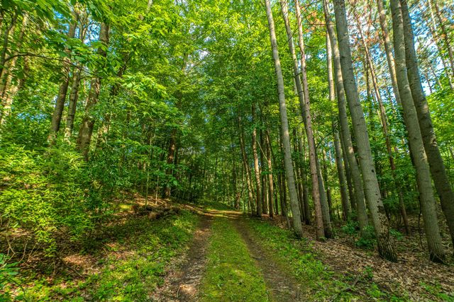 1935 Pierce Road, Chelsea, MI 48118