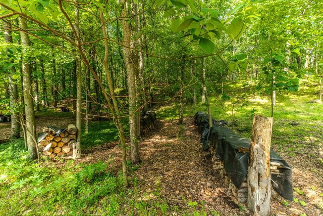 1935 Pierce Road, Chelsea, MI 48118