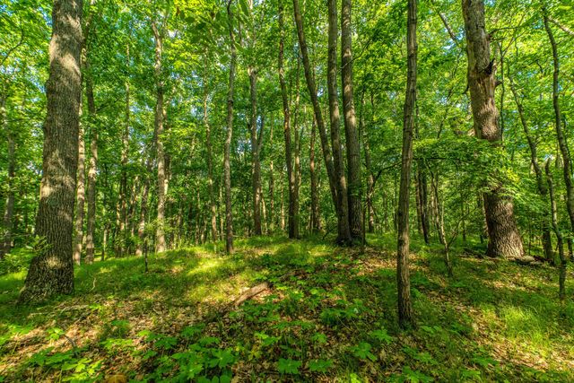 1935 Pierce Road, Chelsea, MI 48118