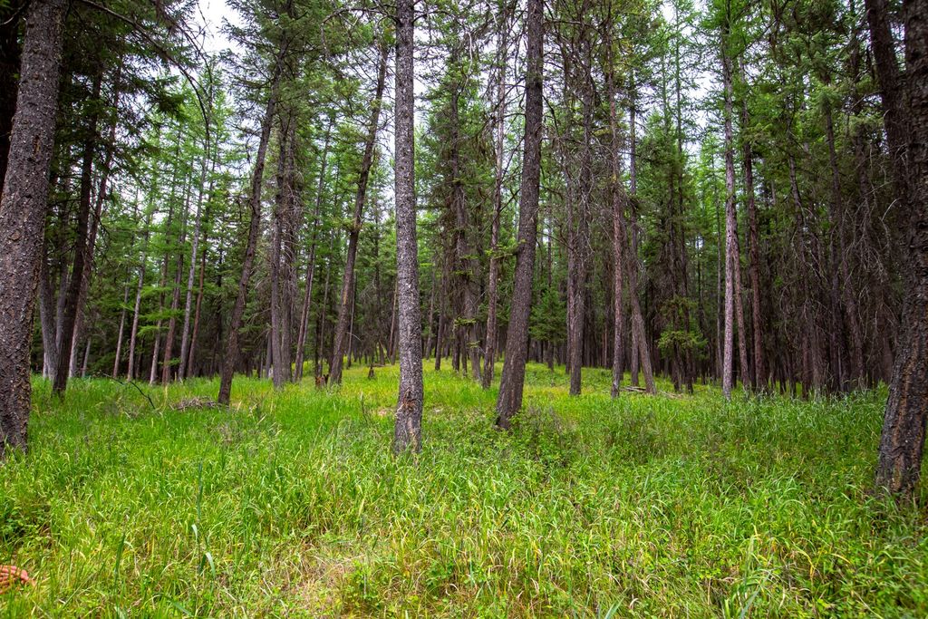 1085 K M Ranch Road, Whitefish, MT 59937 photo 68