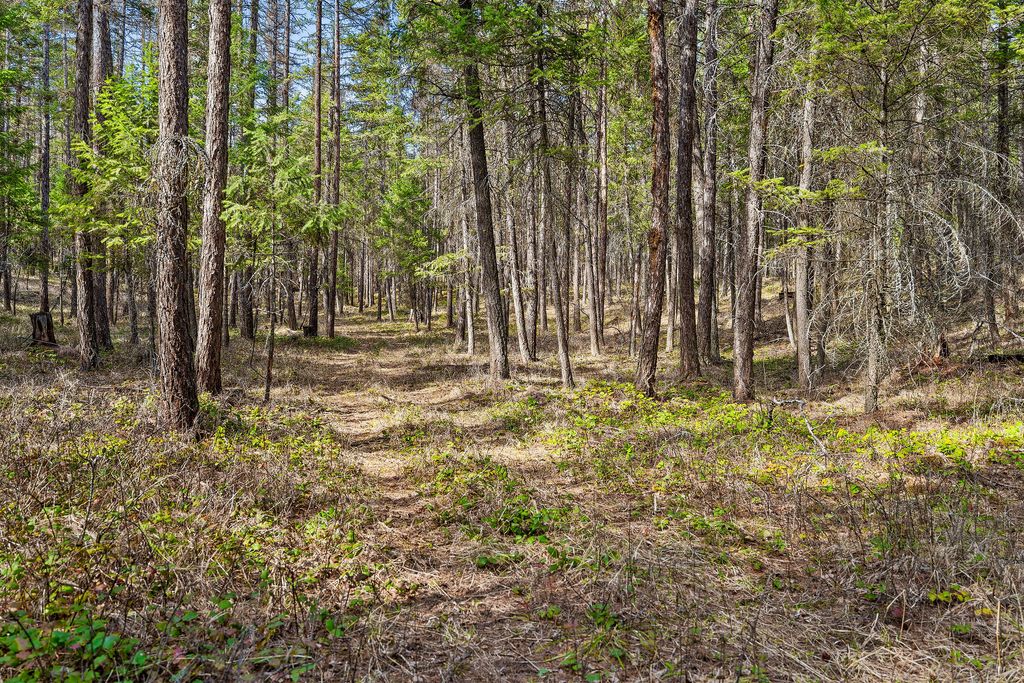 1085 K M Ranch Road, Whitefish, MT 59937 photo 69