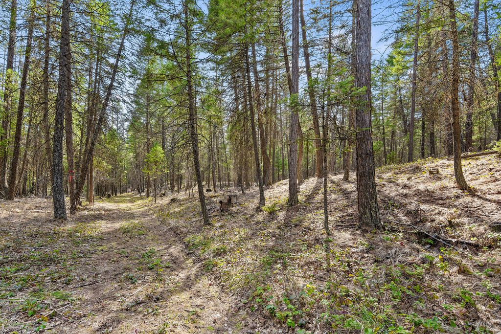 1085 K M Ranch Road, Whitefish, MT 59937 photo 72