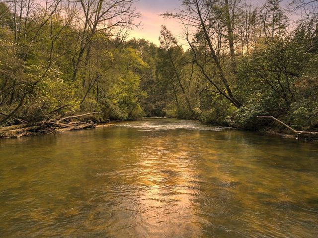 40 Graham Court, Ellijay, GA 30540