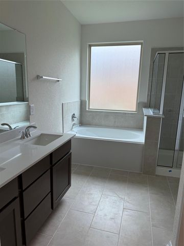 4821 Vida Vista Drive, Katy, TX 77493