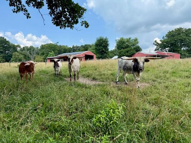 7702 County Road 2800, Mountain View, MO 65548