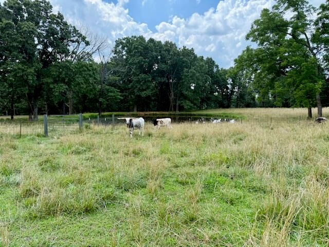 7702 County Road 2800, Mountain View, MO 65548