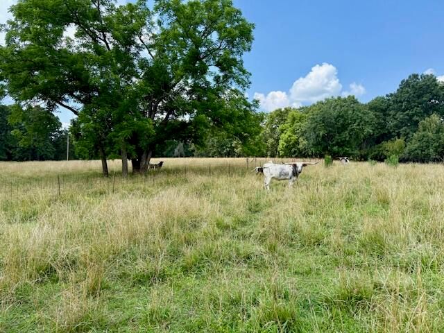 7702 County Road 2800, Mountain View, MO 65548