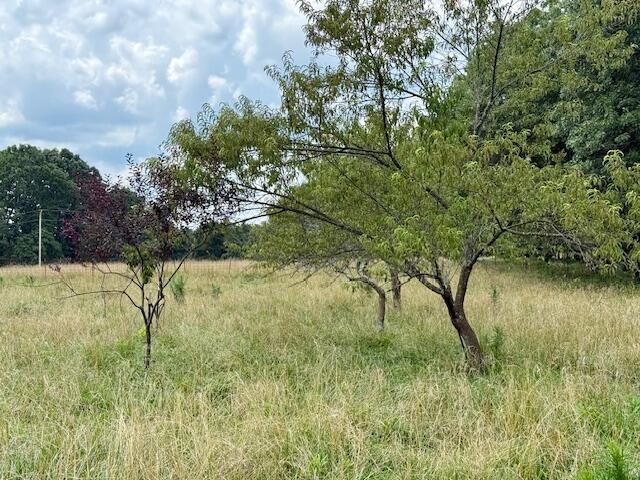 7702 County Road 2800, Mountain View, MO 65548