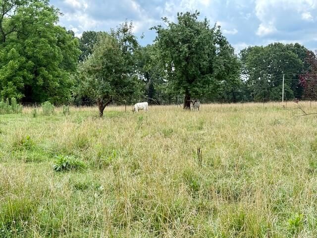 7702 County Road 2800, Mountain View, MO 65548