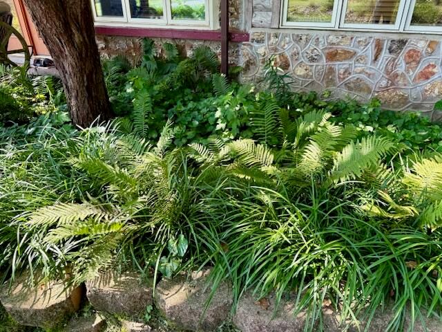 7702 County Road 2800, Mountain View, MO 65548