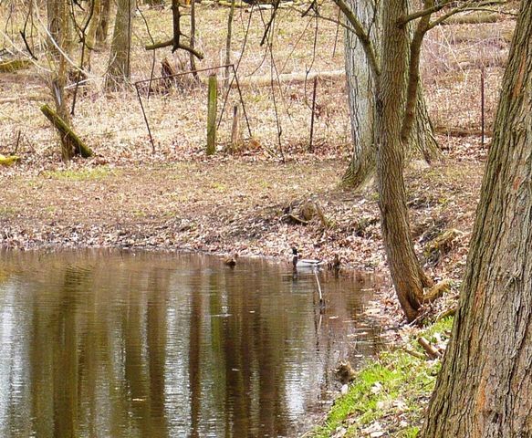 273 Raymond Drive, Coldwater, MI 49036