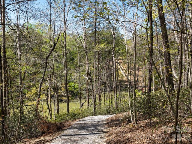 308 North Coast Drive, Mill Spring, NC 28756