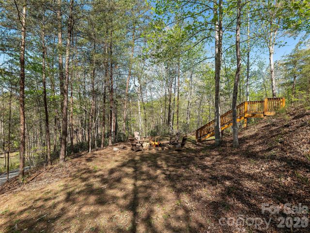 308 North Coast Drive, Mill Spring, NC 28756