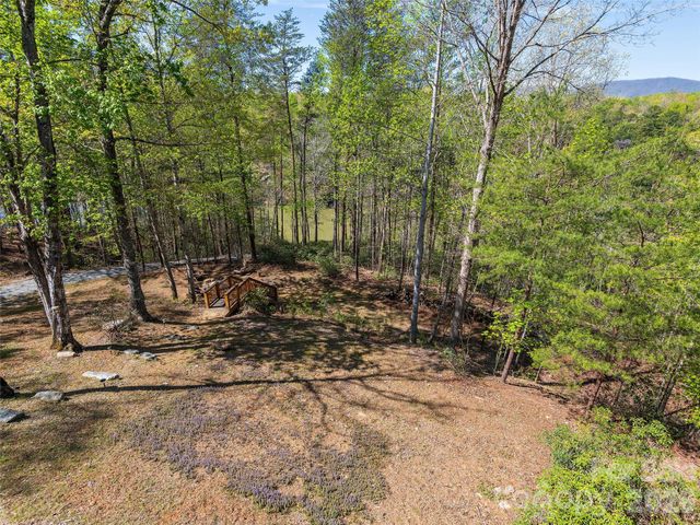 308 North Coast Drive, Mill Spring, NC 28756