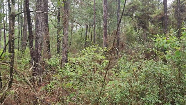 Lot 33 Gum Tree Lane, Plantersville, TX 77363
