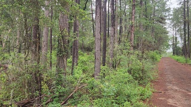 Lot 33 Gum Tree Lane, Plantersville, TX 77363