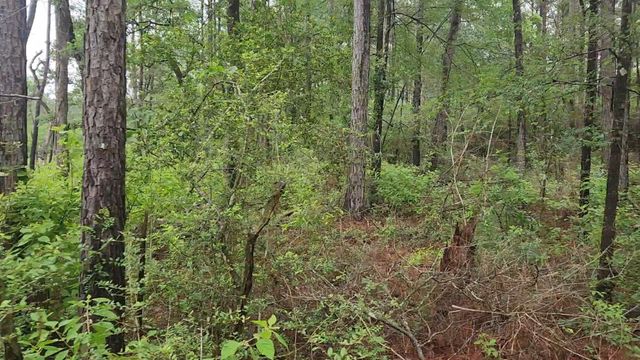 Lot 33 Gum Tree Lane, Plantersville, TX 77363