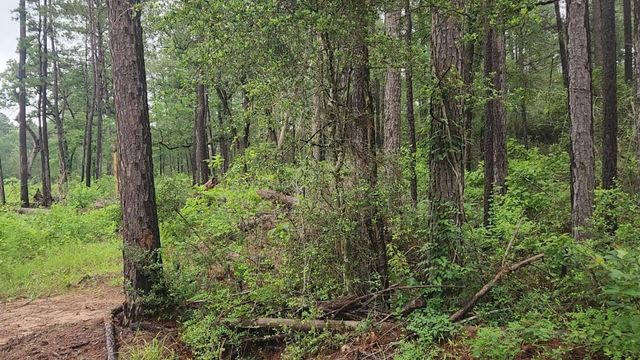 Lot 33 Gum Tree Lane, Plantersville, TX 77363