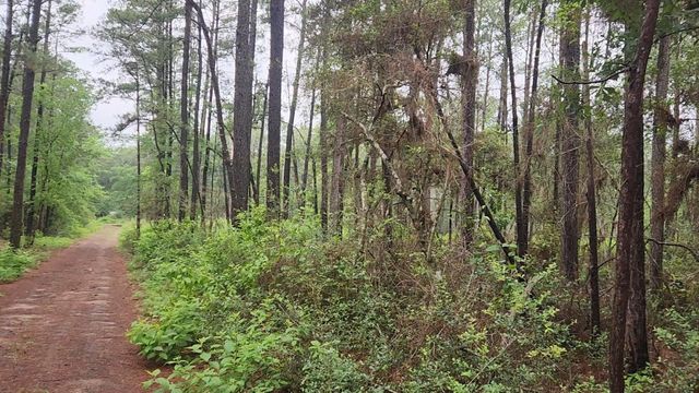 Lot 33 Gum Tree Lane, Plantersville, TX 77363