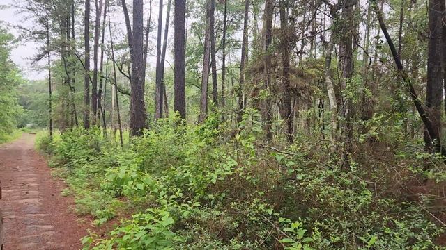Lot 33 Gum Tree Lane, Plantersville, TX 77363