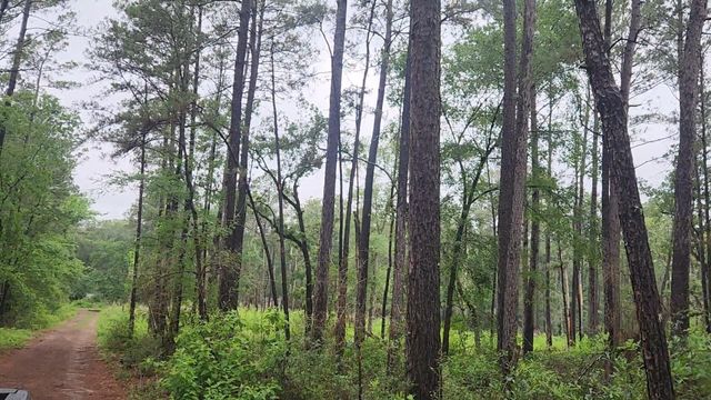 Lot 33 Gum Tree Lane, Plantersville, TX 77363