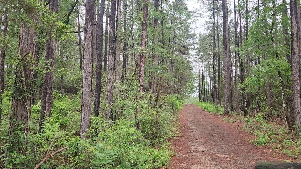 Lot 33 Gum Tree Lane, Plantersville, TX 77363