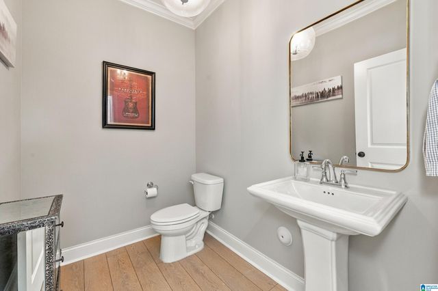 3620 BURNHAM PLACE, Hoover, AL 35244