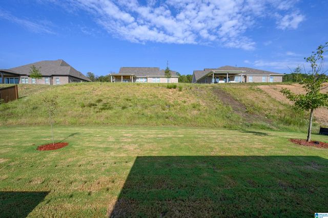 3620 BURNHAM PLACE, Hoover, AL 35244