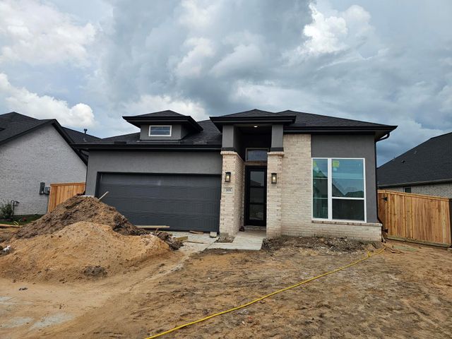 203 Blue River Trail, Rosenberg, TX 77471