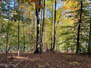 159 Pineridge Loop, Crossville, TN 38558