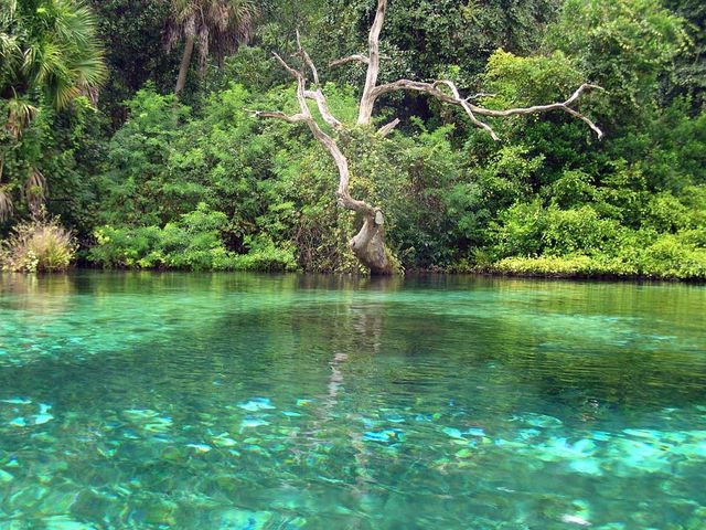 20707 PARK AVENUE, Dunnellon, FL 34431