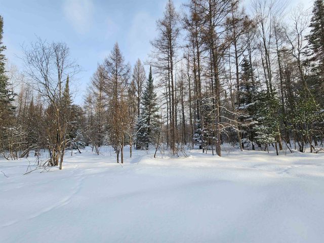 TBD Valley Road, Nw, Rapid City, MI 49676