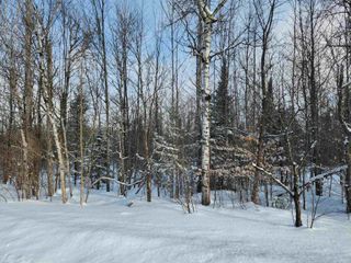 TBD Valley Road, Nw, Rapid City, MI 49676