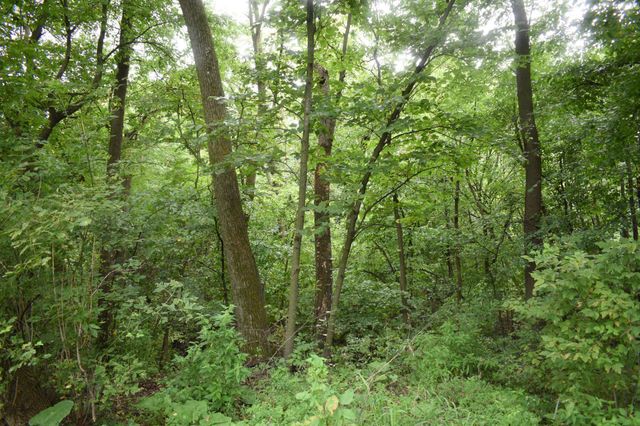 25048 County Road 34, Paynesville, MN 56362