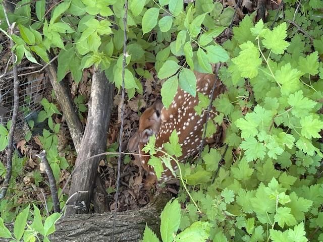 25048 County Road 34, Paynesville, MN 56362