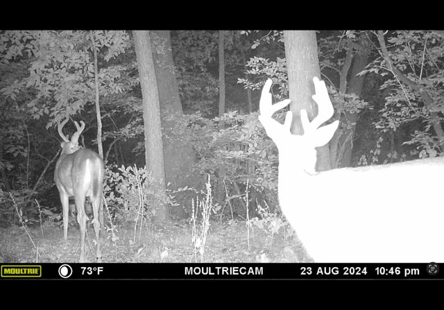 25048 County Road 34, Paynesville, MN 56362