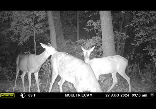 25048 County Road 34, Paynesville, MN 56362