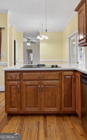 2051 Oliver Highway, Newington, GA 30446